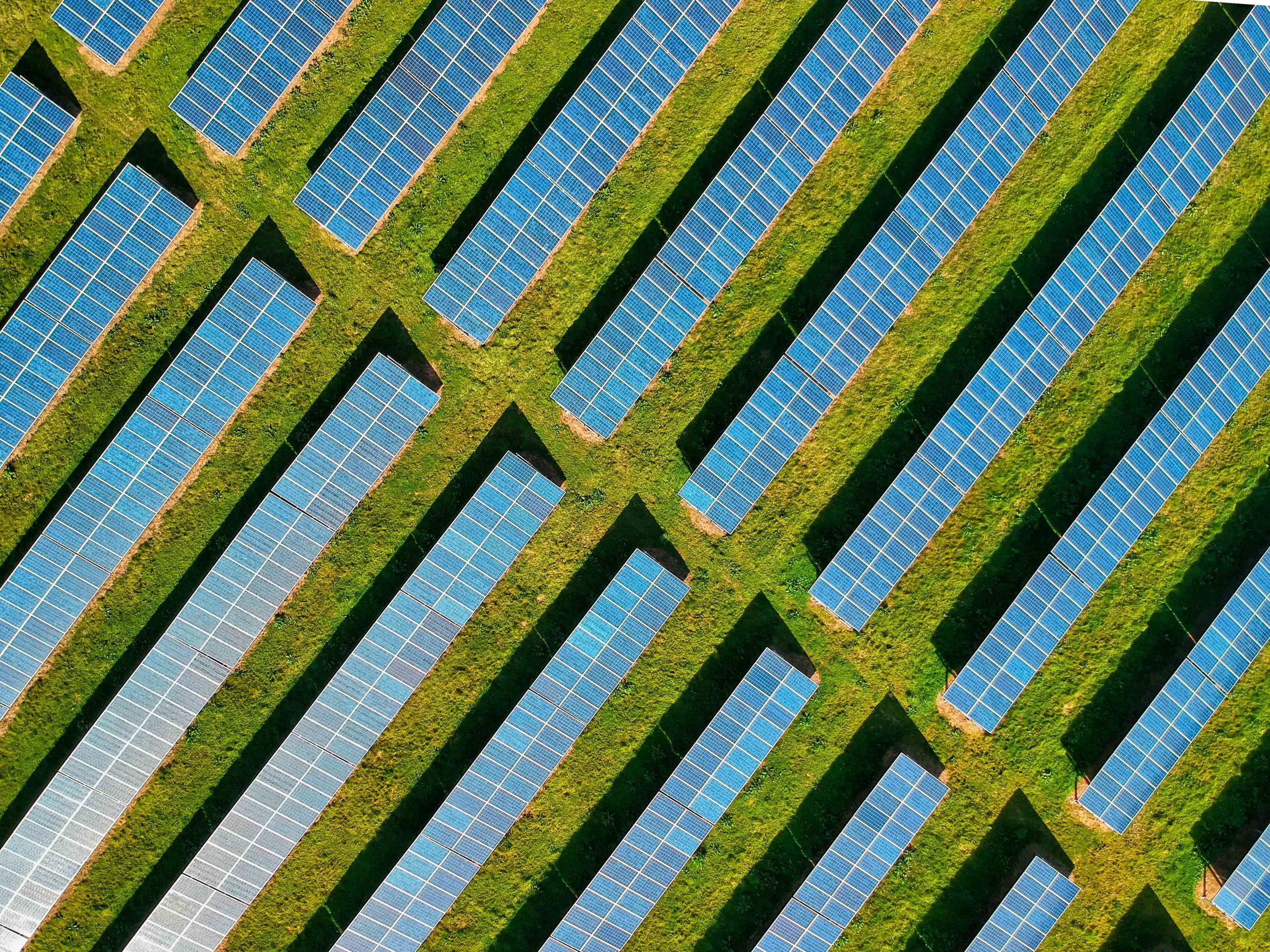 Social & Environmental Stability